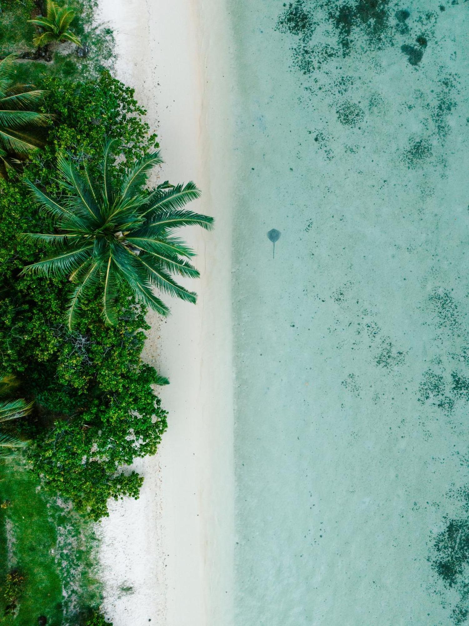 Niu Beach Hotel Moorea Exterior foto